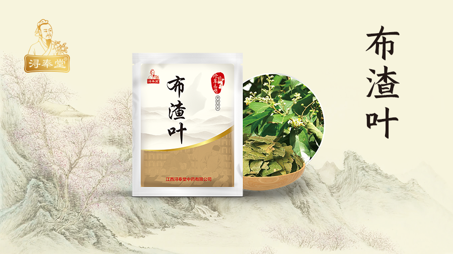 布渣叶-(2).png