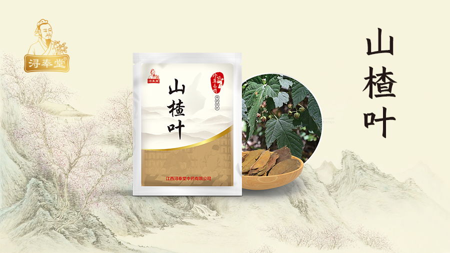 山楂叶-(1).png